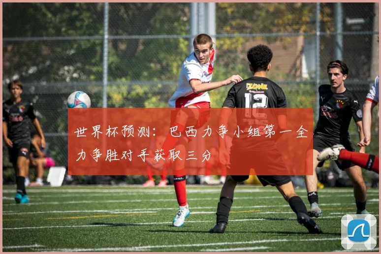 世界杯预测：巴西力争小组第一全力争胜对手获取三分