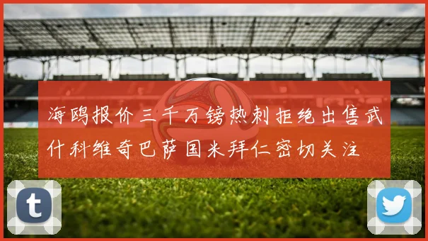 海鸥报价三千万镑热刺拒绝出售武什科维奇巴萨国米拜仁密切关注