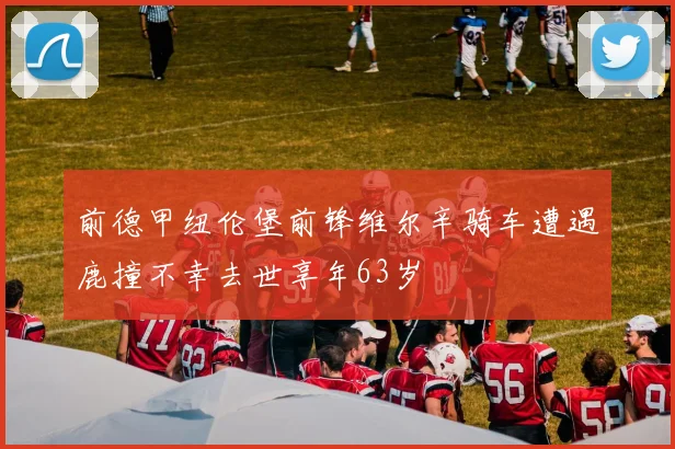 前德甲纽伦堡前锋维尔辛骑车遭遇鹿撞不幸去世享年63岁